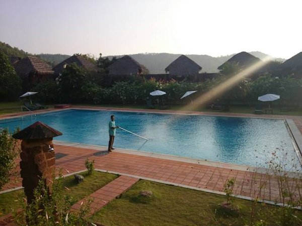 Les différents types de piscines selon la forme pour votre jardin